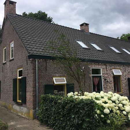Vakantiehuis In Het Voorhuis Dommelen Kültér fotó